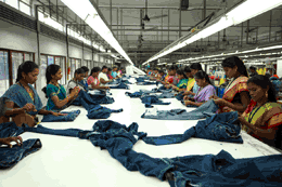 Sampling & Product Development